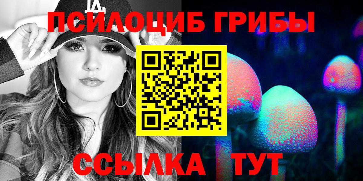 Псилоцибиновые грибы прущие грибы  Вход с VPN  Протвино 